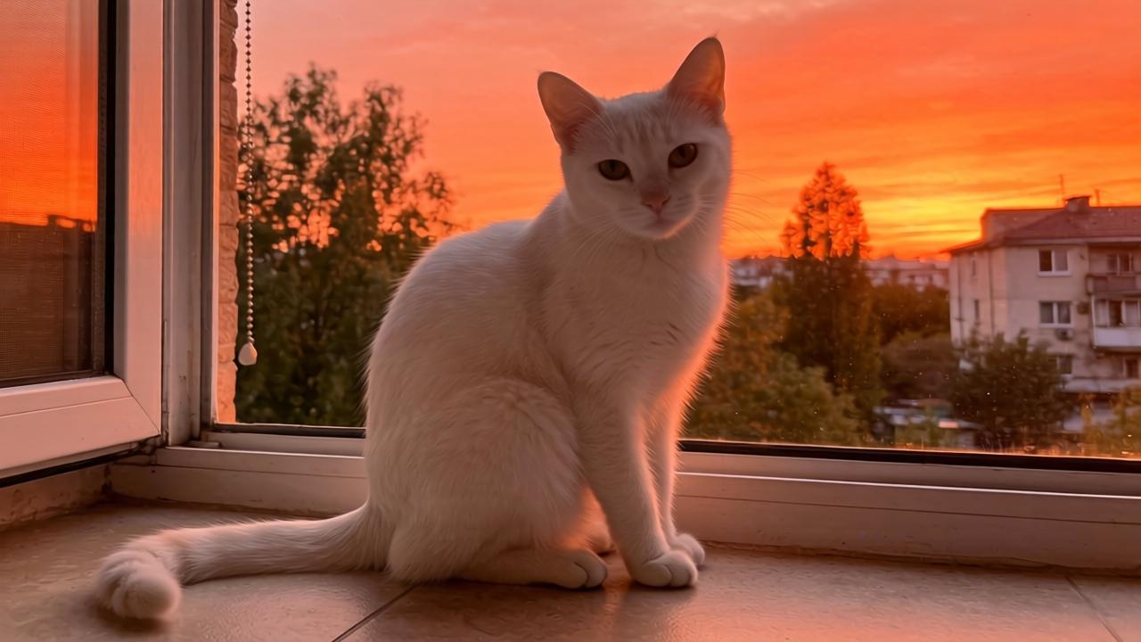 中国核电“走出去”加速中广核英国项目已开工第一张图