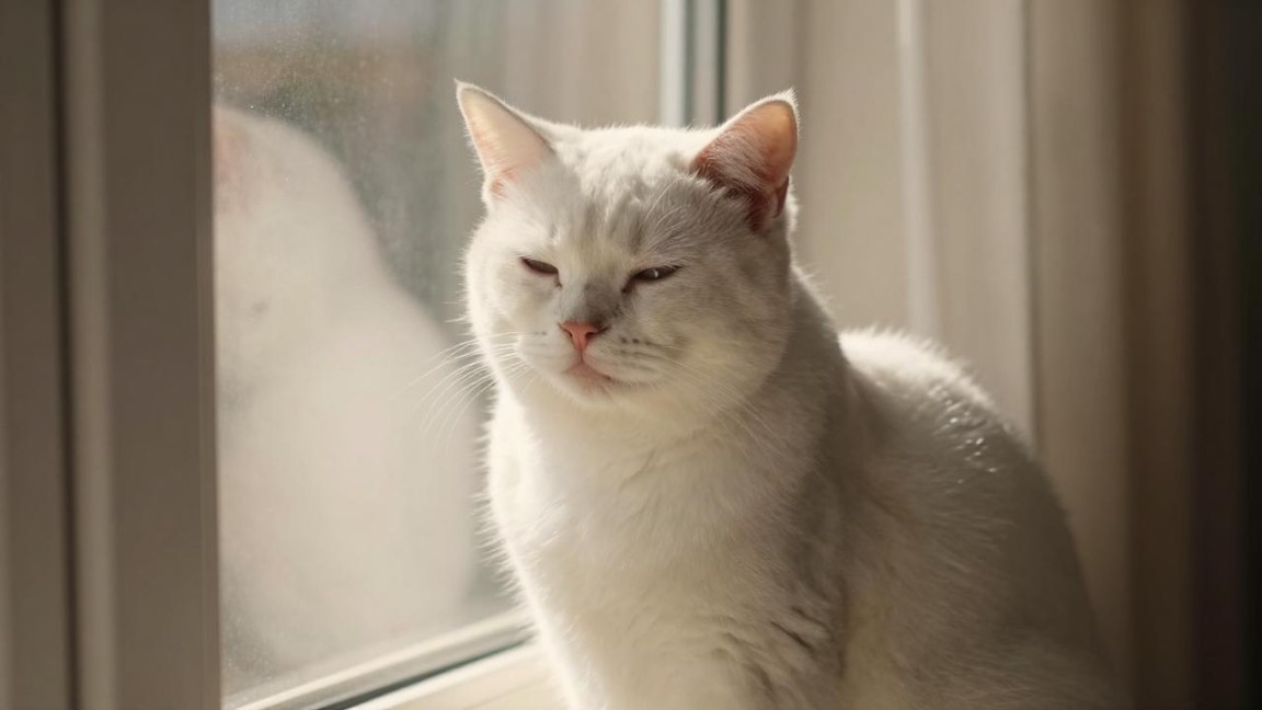 随访期间结节增大到多少需要警惕