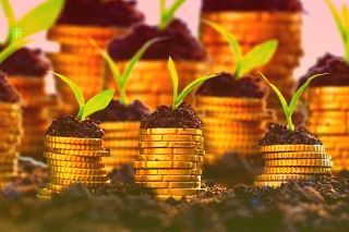 荷兰日增新冠肺炎确诊病例24590例达疫情以来最高