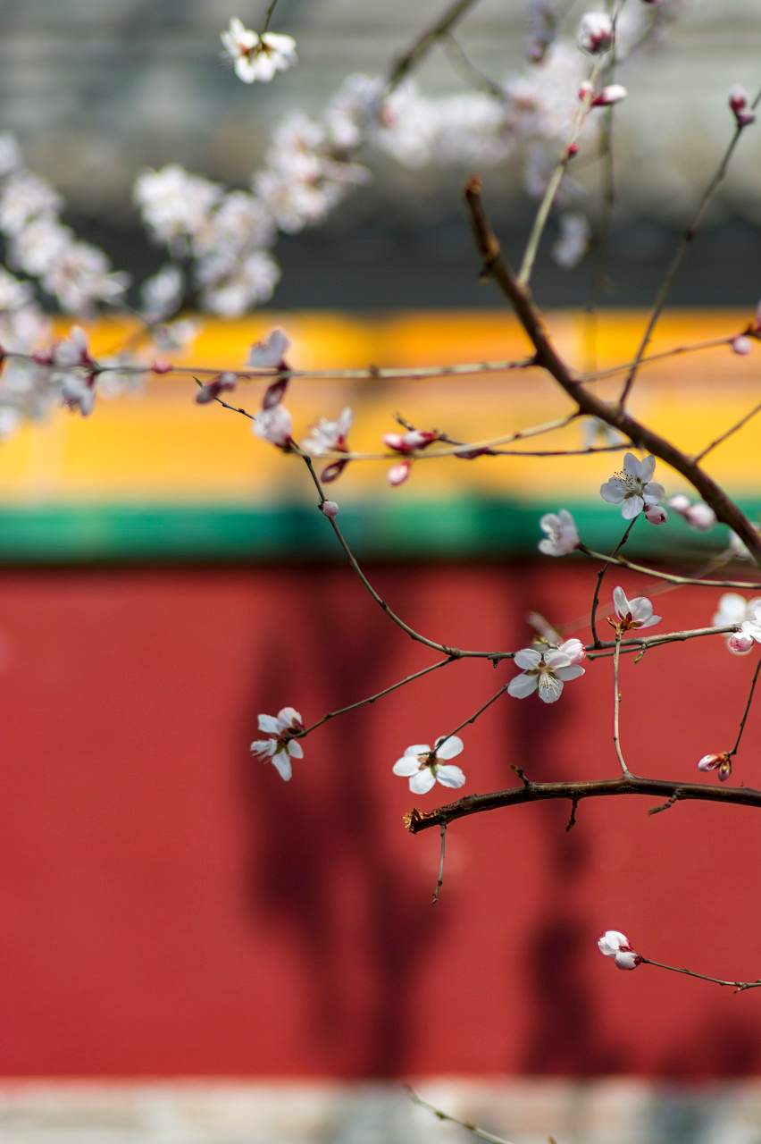 把春“立”进人间