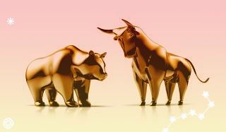 聊城经开区现代农业示范园区强化招商促乡村振兴