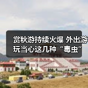 赏秋游持续火爆 外出游玩当心这几种“毒虫” 赏秋游持续火爆 外出游玩当心这几种“毒虫”