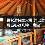 赏秋游持续火爆 外出游玩当心这几种“毒虫”