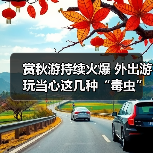 赏秋游持续火爆 外出游玩当心这几种“毒虫” 赏秋游持续火爆 外出游玩当心这几种“毒虫”