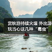 赏秋游持续火爆 外出游玩当心这几种“毒虫” 赏秋游持续火爆 外出游玩当心这几种“毒虫”
