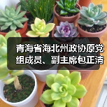 青海省海北州政协原党组成员、副主席包正清被“双开”