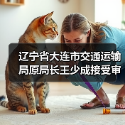 辽宁省大连市交通运输局原局长王少成接受审查调查