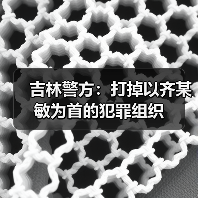 吉林警方：打掉以齐某敏为首的犯罪组织（图4）