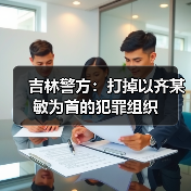 吉林警方：打掉以齐某敏为首的犯罪组织（图3）