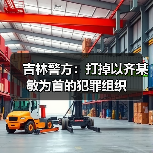 吉林警方：打掉以齐某敏为首的犯罪组织（图1）