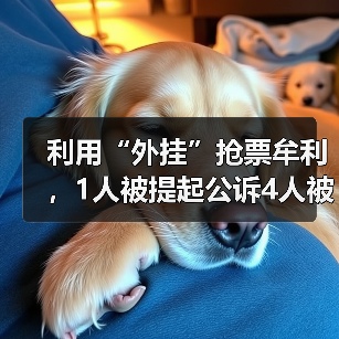 利用“外挂”抢票牟利，1人被提起公诉4人被罚（图4）