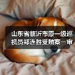 山东省临沂市原一级巡视员郑连胜受贿案一审公开宣判