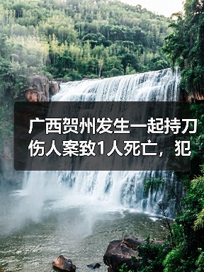 广西贺州发生一起持刀伤人案致1人死亡，犯罪嫌疑人已被刑拘