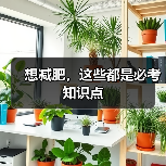 想减肥，这些都是必考知识点