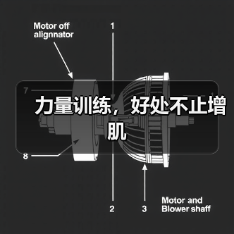力量训练,好处不止增肌(图2) 力量训练,好处不止增肌(图2)