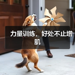 力量训练,好处不止增肌(图4) 力量训练,好处不止增肌(图4)