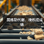 晨练助代谢,晚练提成绩(图3) 晨练助代谢,晚练提成绩(图3)