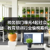 税务部门曝光4起社会教育培训行业偷税案件（图2）
