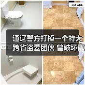 通辽警方打掉一个特大跨省盗墓团伙 曾破坏重点文物（图3）
