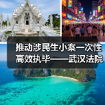 推动涉民生小案一次性高效执毕——武汉法院连续四年开展“荆楚雷霆武汉行动”（图3）