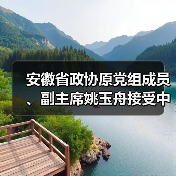 安徽省政协原党组成员、副主席姚玉舟接受中央纪委国家监委纪律审查和监察调查（图4）