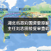 湖北省政府国资委原副主任刘志田接受审查调查（图2）