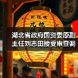 湖北省政府国资委原副主任刘志田接受审查调查（图3）