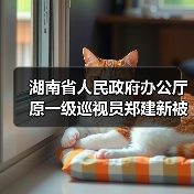 湖南省人民政府办公厅原一级巡视员郑建新被开除党籍和公职（图4）