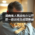 湖南省人民政府办公厅原一级巡视员郑建新被开除党籍和公职（图3）