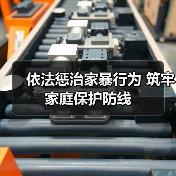 依法惩治家暴行为 筑牢家庭保护防线（图1）