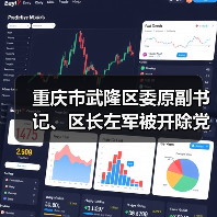 重庆市武隆区委原副书记、区长左军被开除党籍和公职（图4）