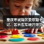 重庆市武隆区委原副书记、区长左军被开除党籍和公职（图2）