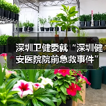 深圳卫健委就“深圳健安医院院前急救事件”发布情况说明（图2）