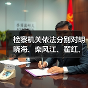 检察机关依法分别对胡晓海、栾风江、翟红、李波提起公诉（图2）