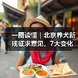 一图读懂｜北京养犬新规征求意见，7大变化速来了解