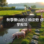 秋季登山的正确姿势 你掌握吗(图4) 秋季登山的正确姿势 你掌握吗(图4)