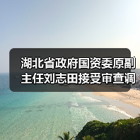 湖北省政府国资委原副主任刘志田接受审查调查（图4）