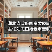 湖北省政府国资委原副主任刘志田接受审查调查（图2）
