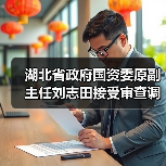 湖北省政府国资委原副主任刘志田接受审查调查（图3）