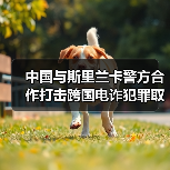 中国与斯里兰卡警方合作打击跨国电诈犯罪取得显著成果（图4）