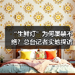 “生鲜灯”为何屡禁不绝？总台记者实地探访