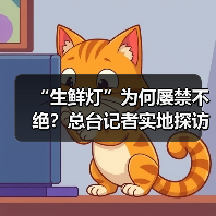 “生鲜灯”为何屡禁不绝？总台记者实地探访（图4）