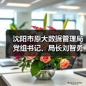 沈阳市原大数据管理局党组书记、局长刘智勇接受审查调查（图3）
