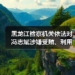 黑龙江检察机关依法对冯志斌涉嫌受贿、利用影响力受贿、国有公司人员滥用职权案提起公诉