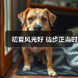初夏风光好 徒步正当时