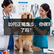 如何正确跑步，你做对了吗？