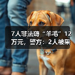 7人非法薅“羊毛”12万元，警方：2人被采取刑事强制措施（图4）