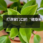 打造家门口的“健身房”(图3) 打造家门口的“健身房”(图3)
