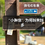 “小胖墩”为何越来越多（图1）