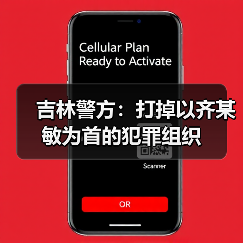 吉林警方：打掉以齐某敏为首的犯罪组织（图3）